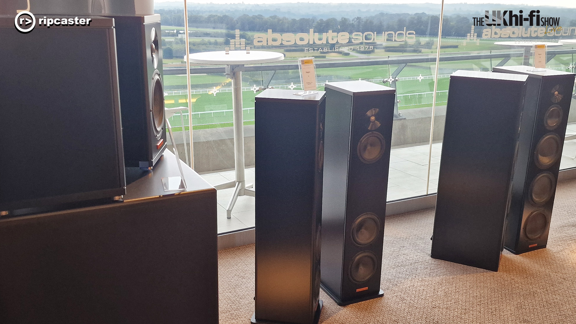 Black floorstanding speakers in front of a window looking out on Ascot racecourse