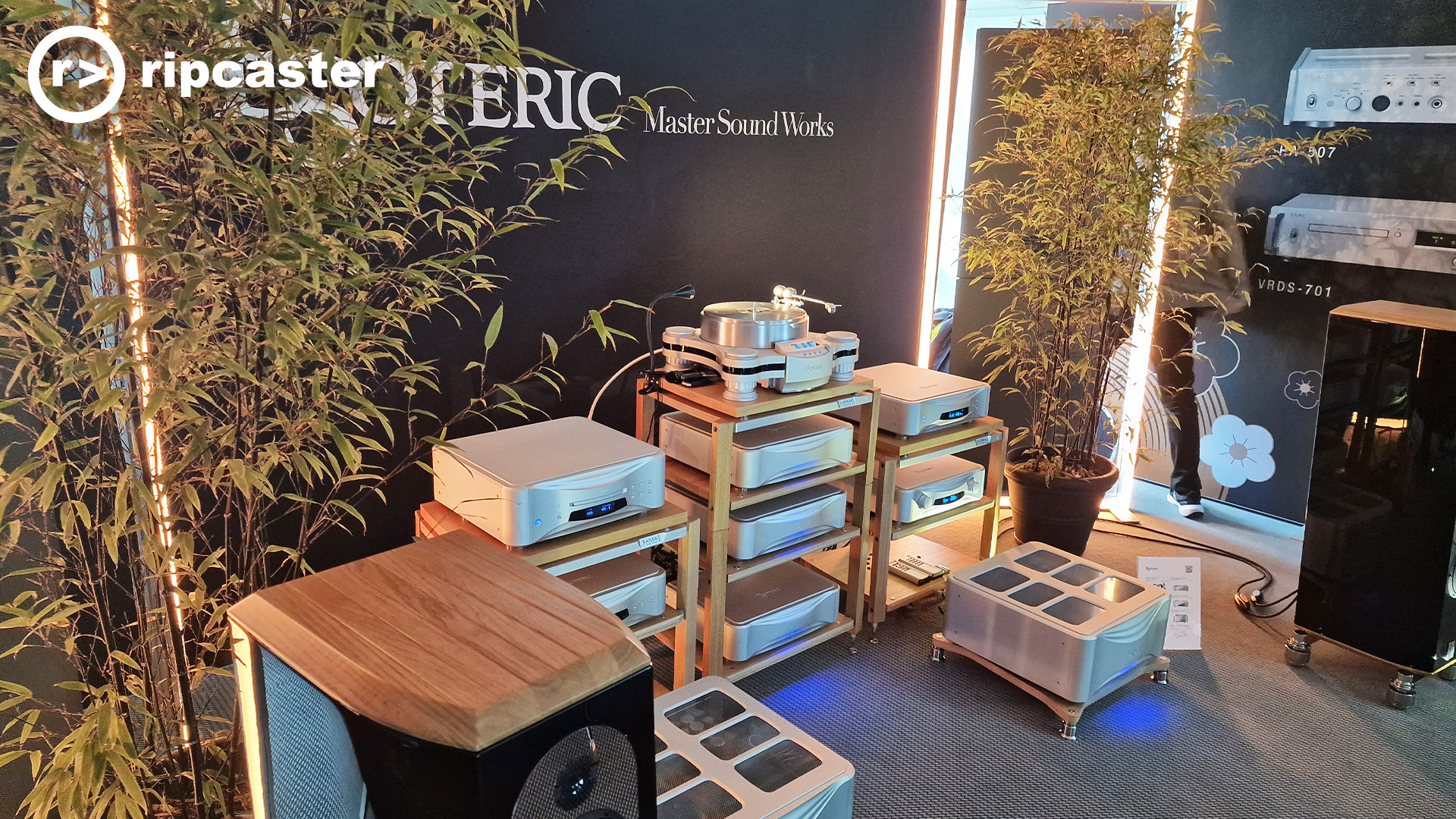 HiFi units and a turntable with tall plants also in the image.  Still Esoteric.  Tall plants.