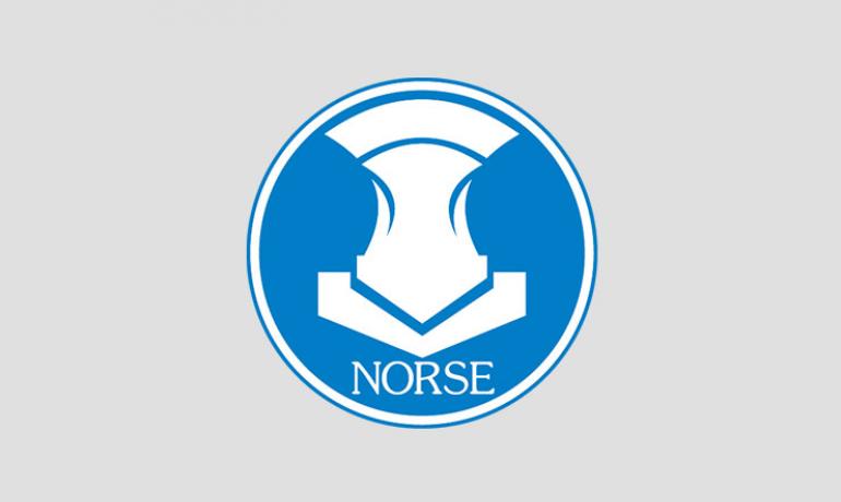 Nordost Norse 2 Series