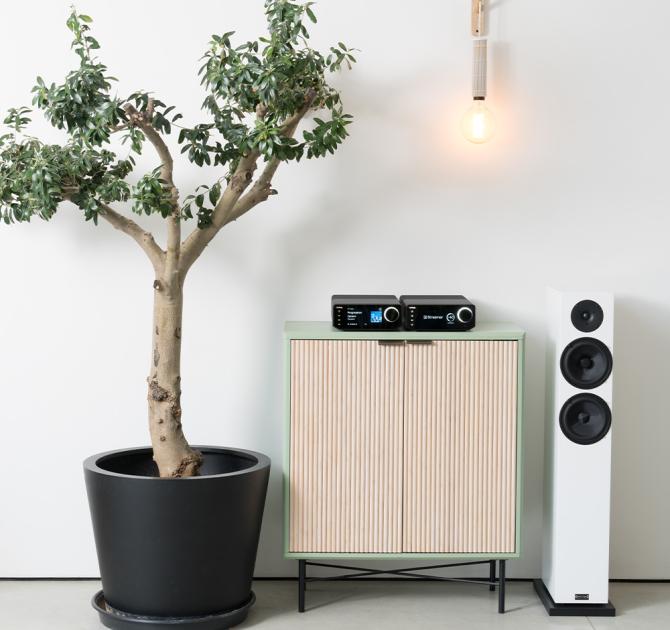 Cyrus 40 ST and Amp beside each other on a wooden unit with a white floorstanding speaker to the right of the image and a large plant to the left- Streaming Music Player - Black