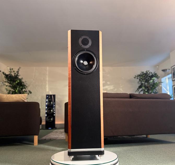 Kudos Titan 707 - Tineo