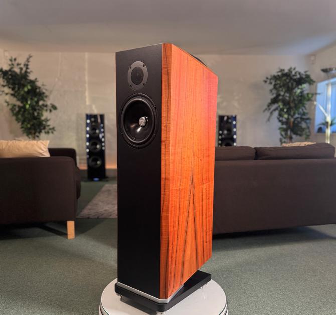 Kudos Titan 707 - Tineo