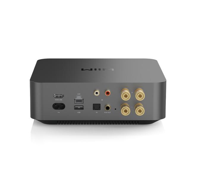 WiiM Amp Pro rear view