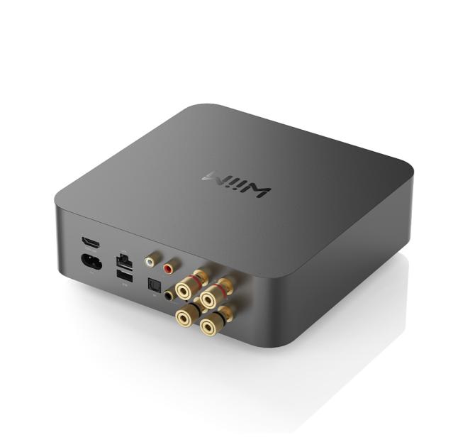 rear view of the WiiM Amp Pro