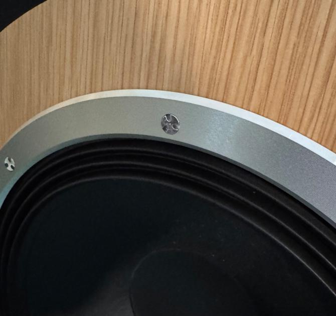 Audiovector Trapeze Ri close-up of the front detail