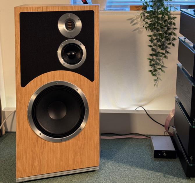 Audiovector Trapeze Ri in the ripcaster showroom