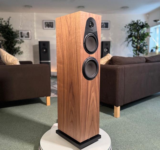 Linn 150 speaker in walnut at ripcaster