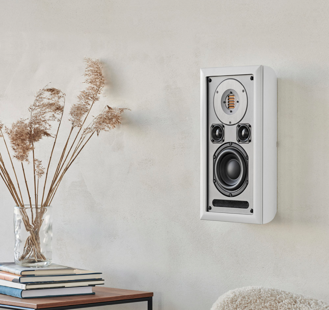 Audiovector Onwall Loudspeaker on a wall with a vase to the left of the speaker.  The vase is on a table and has long stems in it.