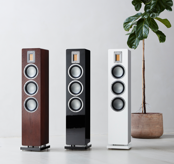 Audiovector QR5 in all three colours beside a tall houseplant.