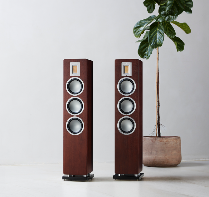 Audiovector QR5 pair in dark walnut beside a tall houseplant