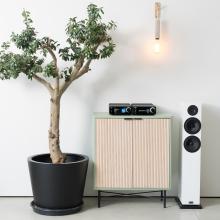 Cyrus 40 ST and Amp beside each other on a wooden unit with a white floorstanding speaker to the right of the image and a large plant to the left- Streaming Music Player - Black