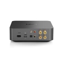 WiiM Amp Pro rear view