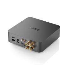 rear view of the WiiM Amp Pro