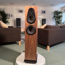 Linn 150 speaker in walnut at ripcaster