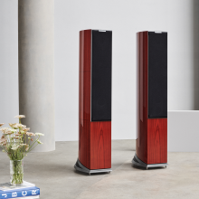 Audiovector R6 Signature pair with grille