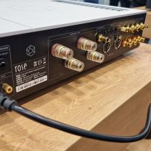HiFi Rose RA280 in silver - rear view.